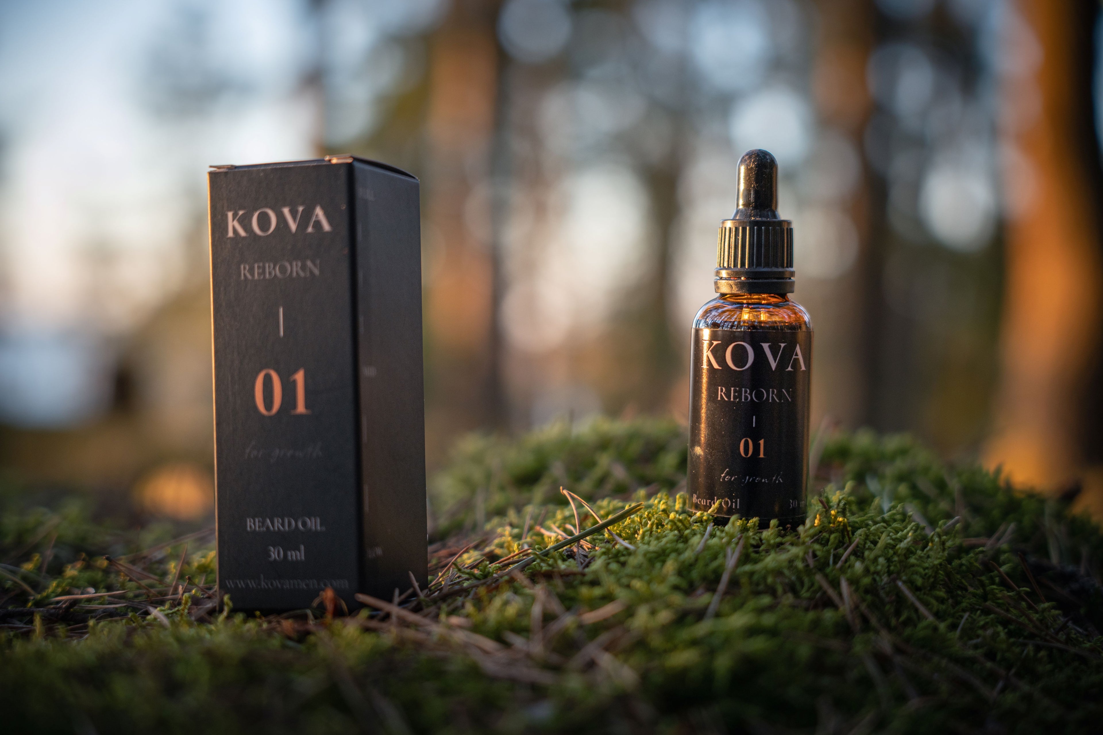 KOVA REBORN 01